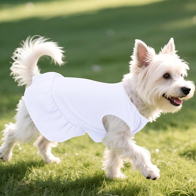 2 Pcs Dog Dresses Cat Skirt Solid Color Dog Clothes Summer Sleeveless Puppy Girl Clothes for Small Pet Dogs Cats (White,Blue, X-Small)