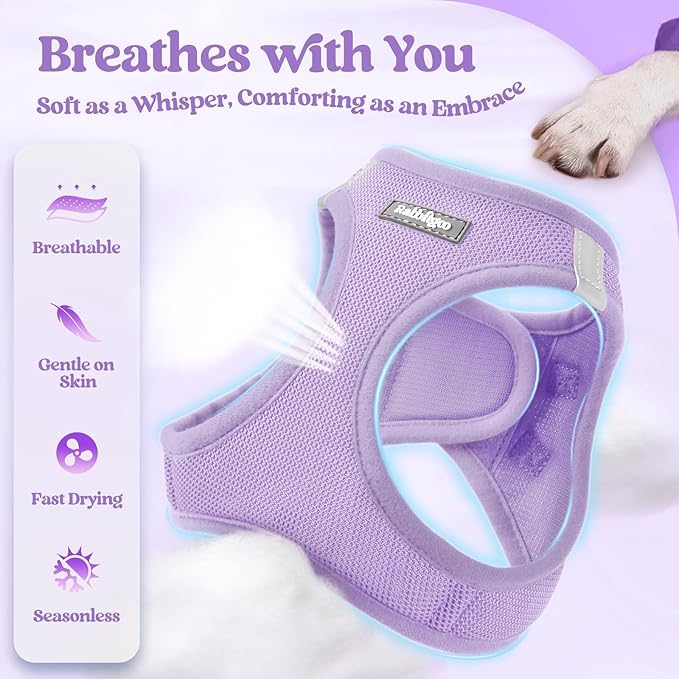 rabbitgoo Dog Harness Small Sized and Leash Set, Step in Soft Light Puppy Vest, Breathable Mesh Pet Harness, Reflective for Safe Easy Walking, Light Purple XXS