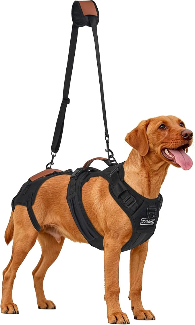 Dog Lift Harness, Full Body Dog Harness with Handle for Lifting, Front/Back Leg Support, Prevent Chafing Pee-Able Design, 2-in-1 Detachable Dog Assist Harness for Senior Disabled Dogs Up to 40lb (M)