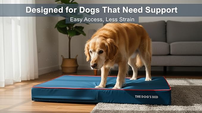The Dog’s Bed Orthopedic Memory Foam Dog Bed for XXL Dogs, Waterproof Washable Cover, Anti-Slip Base, Calming Surface – CertiPUR-Certified Foam, Blue with Red Trim, 6 Inch Thick
