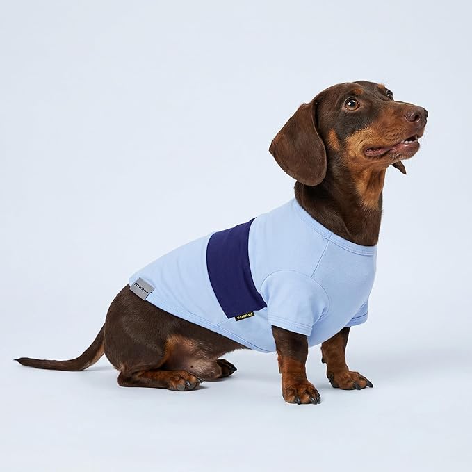 Fitwarm 3 Pack Color Block Striped Dog Shirt, Summer Dog Clothes for Small Dogs, Breathable Lightweight Pet Tshirt with Sleeves, Cat Outfit, Red, Blue, Grey