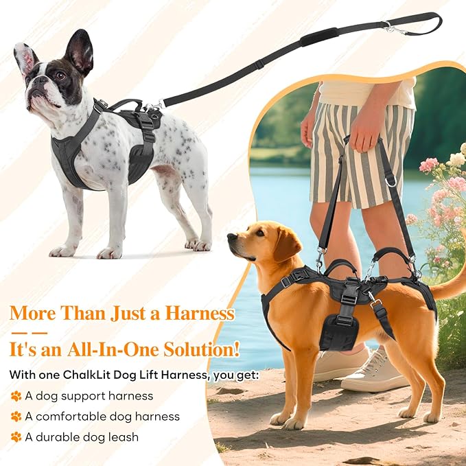 Dog Lift Harness, Dog Support & Recovery Sling for Full-Body & Hind/Front Leg – Pee-Able Design for Large/Medium Dogs – All-in-One Ideal Assistance for Senior, Disabled, Arthritic & ACL Canines (XXL)