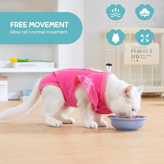 Avont Cat Recovery Suit - Post-Surgery Onesie for Cats, Alternative to Cone of Shame, Protective Spay Suit for Female Kitten, Ideal for Healing and Skin Conditions -Magenta(M+)