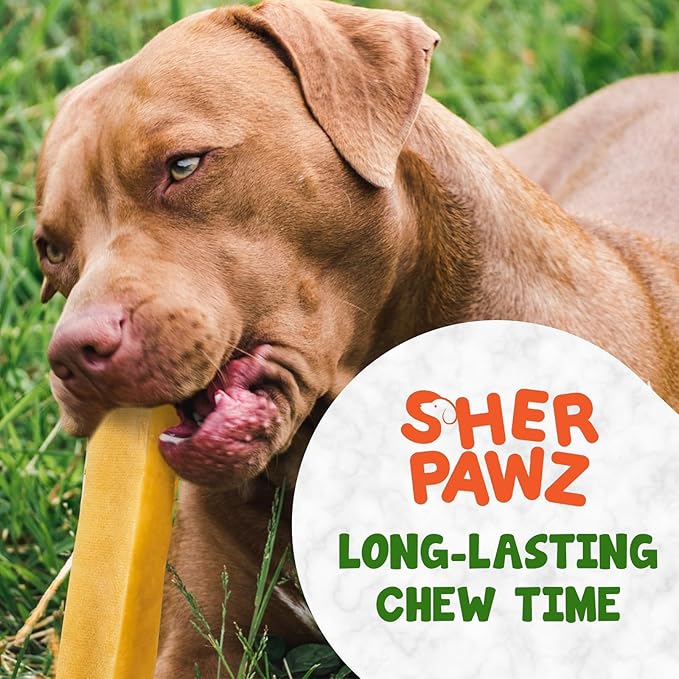 Natural Himalayan Yak Cheese Dog Chews - Medium (2.2-2.5 oz) 3-Pack | All-Natural, Rawhide-Free, Grain-Free Long-Lasting Healthy Dog Treat for Agressive Chewers