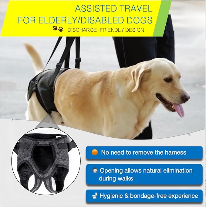 Dog Lift Harness for Back Legs–Sturdy Dog Support Sling–Hip Sling Carrier for Large Medium Canine, Stair Helper for Aid Old Ligament Rehabilitation Pet, Grey,L