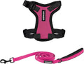 Best Pet Supplies Voyager Step-in Lock Pet Harness w Reflective Pet Leash Combo Set with Neoprene Handle 5ft - Supports Small, Medium and Large Breed Puppies/Cats - Fuchsia/Black Trim, XXS