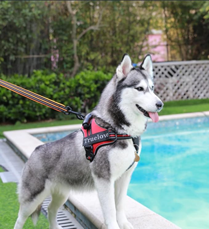 Truelove Dog Harness No-Pull Reflective Stitching Ensure Night Visibility Outdoor Adventure Big Dog Harness Perfect Match Puppy Vest TLH5753 Now Available in 6 Colors 6 Sizes