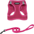 Voyager Step-in Pet Harness - All Weather Mesh, Adjustable Step in Harness for Cats and Dogs by Best Pet Supplies - 307S Fuchsia, S