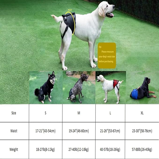 Dog Lift Harness, Dog Sling for Large Dogs Hind Leg Support, Adjustable Soft Padded Rehab Harness for Weak Rear Legs Elderly Injured Disabled Arthritic Dogs