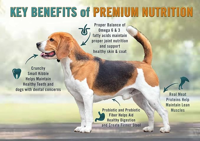 Chicken Soup for the Soul All Natural Premium Small Bites Adult Dry Dog Food, Real Meat First Ingredient, No By-Products, Supports Gut & Immune Health, Chicken, Turkey & Brown Rice, 4.5lb