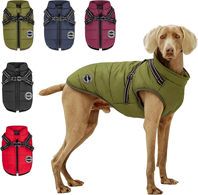 Warm Dog Winter Coat, Cold Weather Jacket with Built-in Harness, Reflective & Adjustable Comfortable Pet Vest, Windproof Apparel for Small Medium Large Dogs (Green)