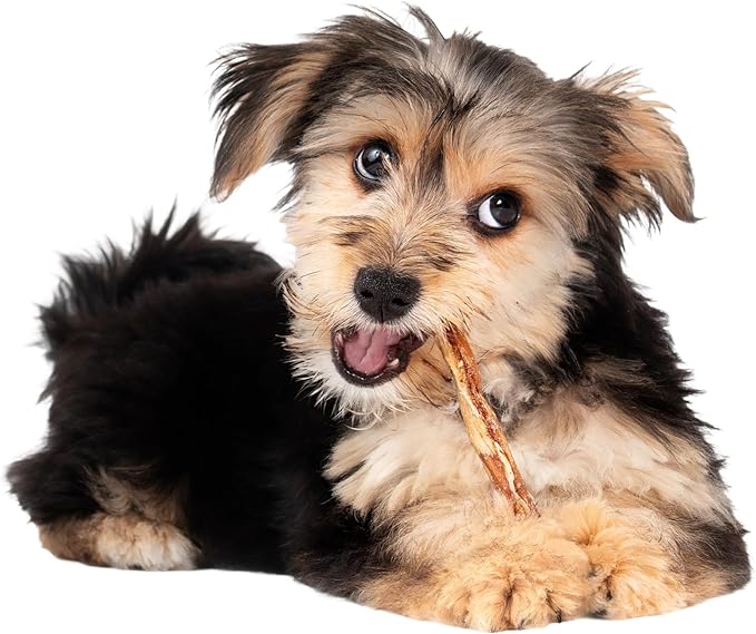 Fieldcrest Farms Nothin' to Hide Twist Stix, Beef Flavor – Easily Digestible Dog Chews, Supports Skin, Coat, Joints & Muscles, for Moderate Chewers Under 15 lbs, 100 Total Pieces