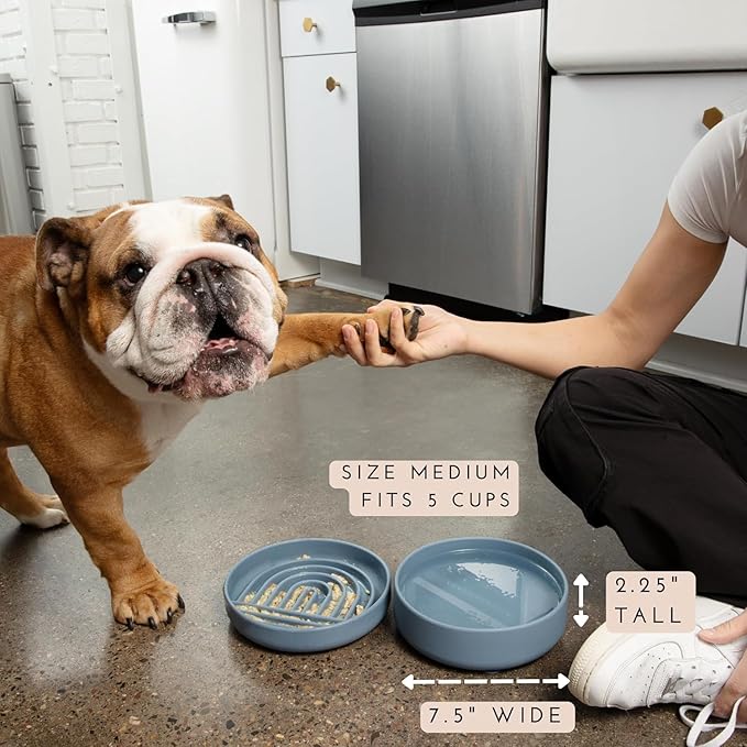 Should We Go? Dog Water Bowl - The Perfect Dish No-Spill, Less Mess Non-Tippable Water & Food Bowl, Silicone with Suction Cup, Fits 5 Cups 7.5" Across x 2.25" Tall, Ideal for All Pets, Medium-Charcoal