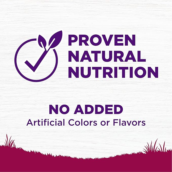 Wellness Complete Health Dry Dog Food, Small Breed, Wholesome Grains, Natural, Healthy Weight Turkey & Brown Rice Recipe, (4-Pound Bag)