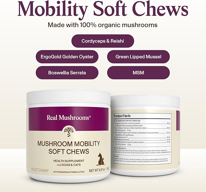 Real Mushrooms Mobility Chews for Dogs & Cats – Green Lipped Mussel & ErgoGold Mushroom Blend – Dogs & Cat Vitamins Treats for Active Routines – Joint, Hip & Flexibility Support – 240 ct Supplement