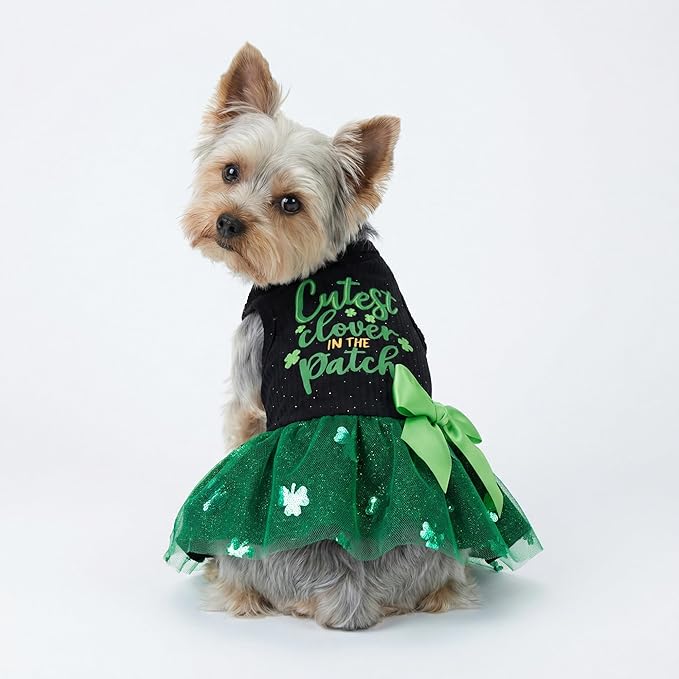 Fitwarm Cutest Clover in the Patch Dog Dress, St Patricks Day Dog Clothes for Small Dogs Girl, Funny Pet Cat Puppy Holiday Outfit, Black, Emerald Green, XS