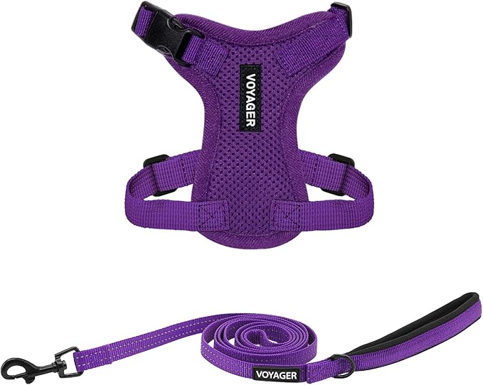 Best Pet Supplies Voyager Step-in Lock Pet Harness w Reflective Pet Leash Combo Set with Neoprene Handle 5ft - Supports Small, Medium and Large Breed Puppies/Cats - Purple, XXS