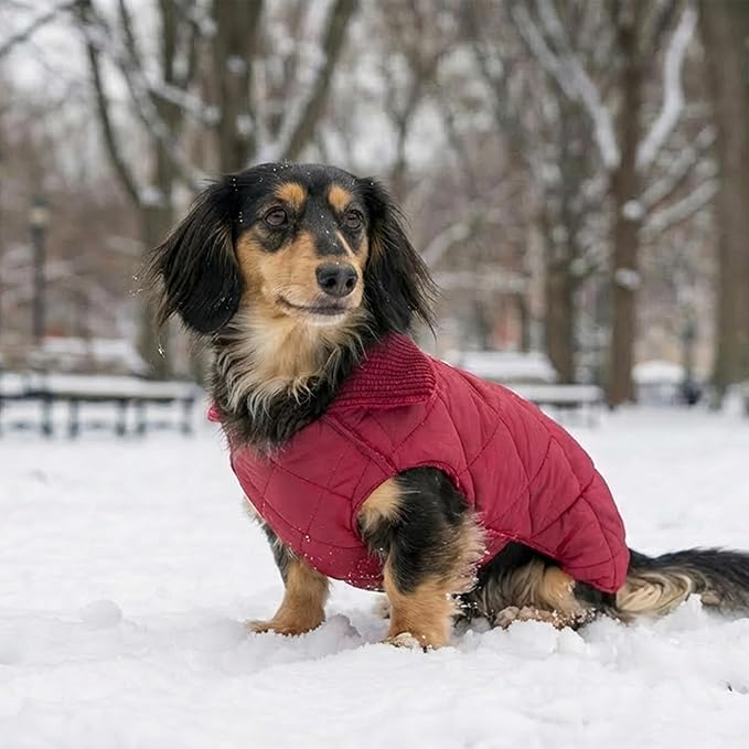 Fitwarm Reversible Quilted Dog Coat, Cozy Winter Clothes for Small Dogs Boy Girl, Windproof Thermal Pet Jacket, Red, Burgundy, XXL