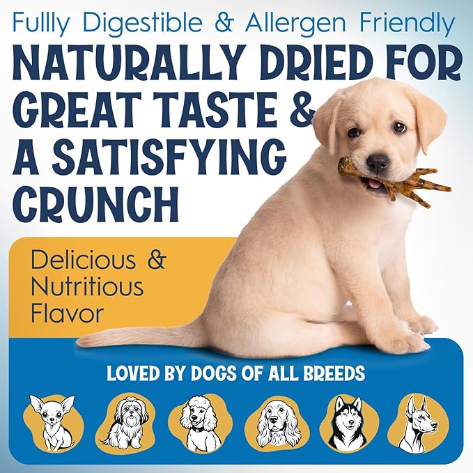 Premium Chicken Feet Dog Treats - Dehydrated Poultry Foot - No Additives - Digestible Chew - Joint Health Support - All Natural (20-Pack)
