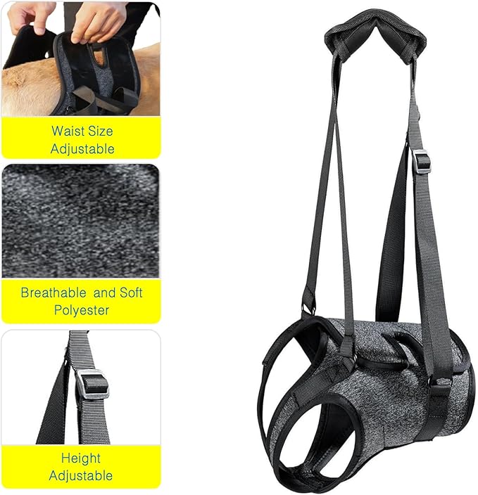 Dog Lift Harness for Back Legs–Sturdy Dog Support Sling–Hip Sling Carrier for Large Medium Canine, Stair Helper for Aid Old Ligament Rehabilitation Pet, Grey,M
