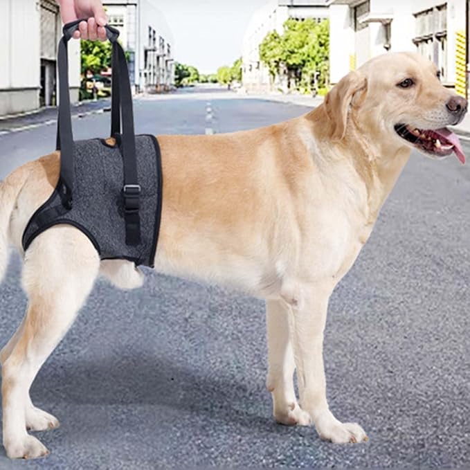 Ldabrye Practical Dog Carrying Harness Slide for Rear Legs Assistance and for Small Mediums Large Dog Daily Casual