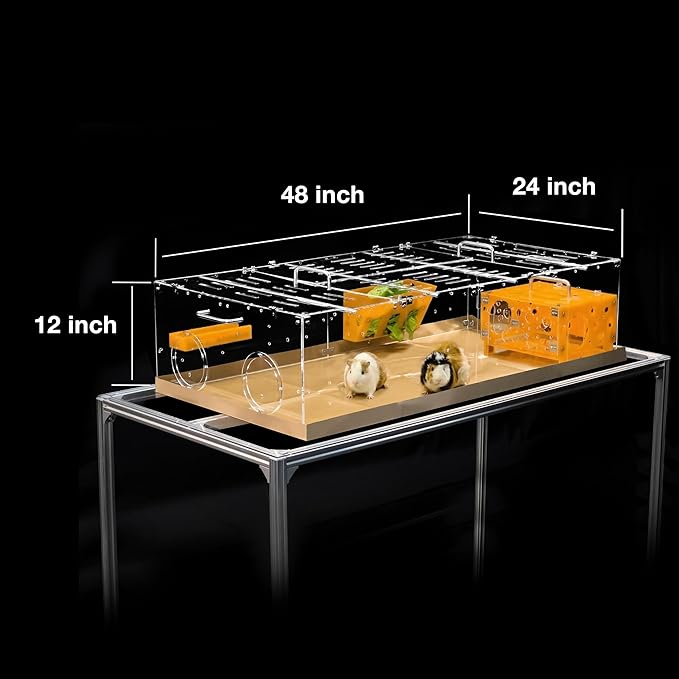 GuineaLoft™ Model-A1 Acrylic Cage with Crystal Clear Rooftop (48"x24"x12") - Protective Small Animal Habitat for Guinea Pigs, Rabbits & Hedgehogs - Includes Disposable Bottoms