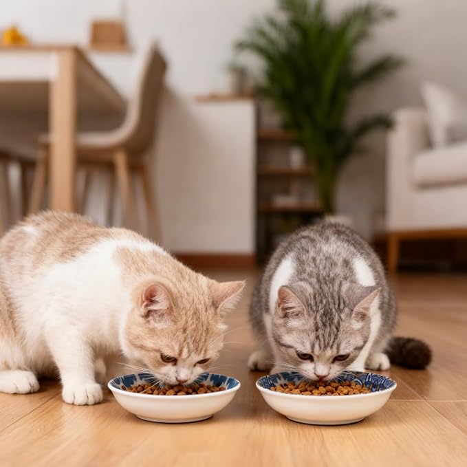 Ceramic Cat Food Bowls,6 Pack Colorful Cat Bowls Set,Anti-Slip Cats Dishes,Whisker Friendly Wide Pet Bowls for Indoor,5.75 inch Cute Kitten Plates for Wet and Dry Food Water