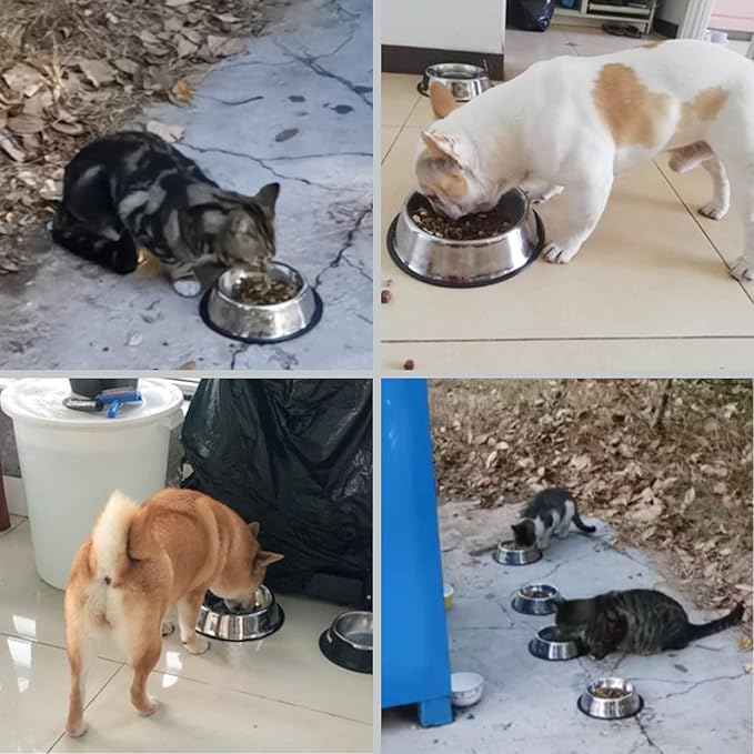 Fhiny 4Pcs Stainless Steel Dog Cat Bowl with Rubber Base Pet Food and Water Feeder Bowls Stackable Non-Slip Dish Plate for Small Medium Animals Puppy Kitten Rabbit