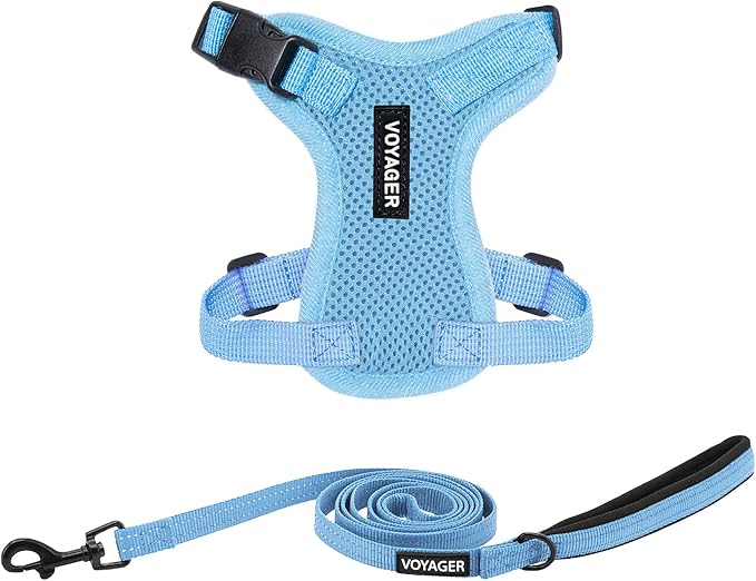 Best Pet Supplies Voyager Step-in Lock Pet Harness w Reflective Pet Leash Combo Set with Neoprene Handle 5ft - Supports Small, Medium and Large Breed Puppies/Cats - Baby Blue Set, XXXS