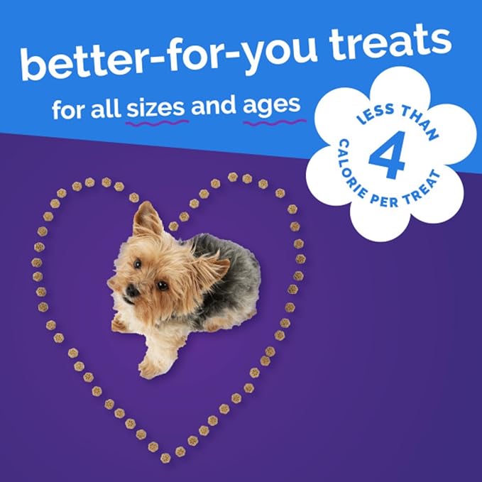 Fruitables Skinny Mini Dog Treats (3 Cal) – Healthy Soft Training Treats – Pumpkin & Blueberry, 5 oz (4 Pack)