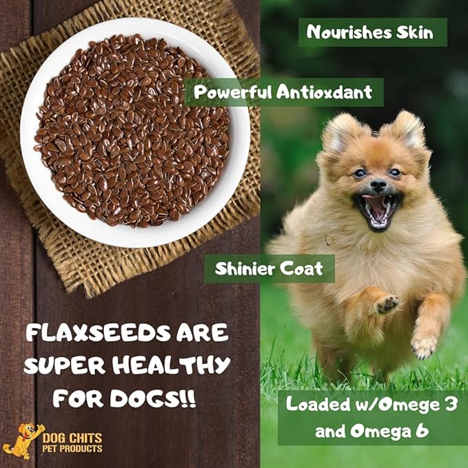 Dog Chits Lamb and Flaxseed Soft Chew for Dogs - All Natural Dog Treats, High Protein, Gentle on Teeth & Rich in Omega 3 and 6 - Supports Joint and Digestive Health - Made in USA - 4 oz