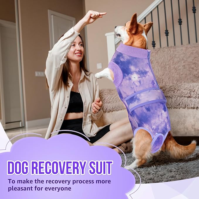 SlowTon Dog Surgery Recovery Suit - Zipper On Dog Onesies After Surgery for Female Male Dogs, Abdominal Wounds Bandages Cone/E-Collar Alternative Dog Surgical Body Suit Anti-Licking (Purple,L)