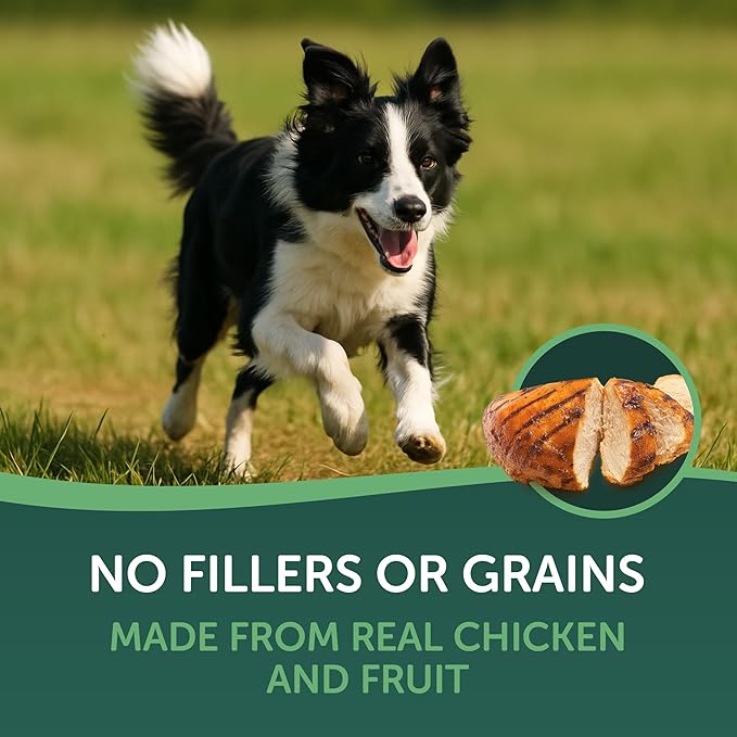 WESTMINSTER PET PRODUCTS Healthfuls Chicken Wrapped Fruit Treats, 3.5 oz - Dried Apple, Kiwi, and Banana Wrapped in Premium Chicken Filet - Healthy, Protein Rich Treats for Dogs