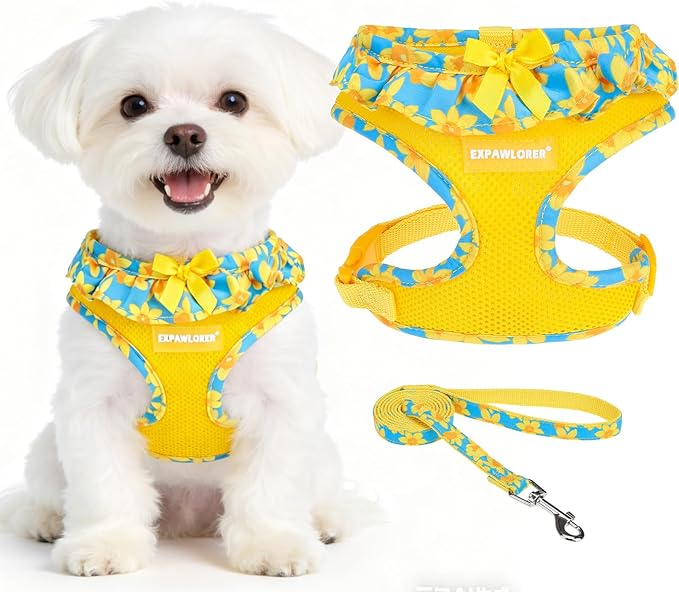 EXPAWLORER Cute Dog Harness Collar Leash Set - Blue Girl Dog Harness Checkered Step-in Design, Adjustable No-Choke Lightweight Mesh Vest for Cats Puppy Small Dogs, Daffodil XS