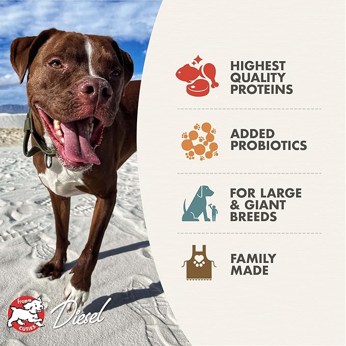 Fromm Heartland Gold Large Breed Adult Dog Food - Dry Dog Food for Large & Giant Breeds - Beef Recipe - 26 lb