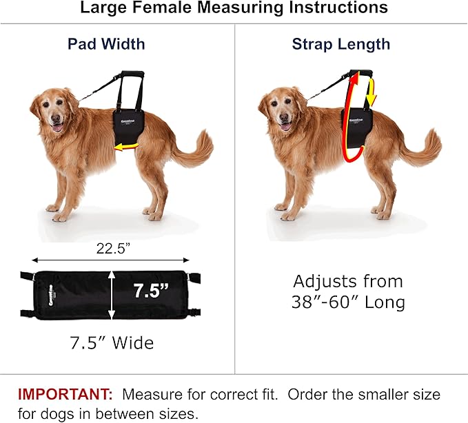 GINGERLEAD Dog Sling Support Harness, LG Female fits Big Dogs Over 65 lbs. Padded Rear Lift with Integrated Leash to Assist Senior K9s, or Recovery from Knee/TPLO, Hip or Back Surgery. Made in U.S.A.
