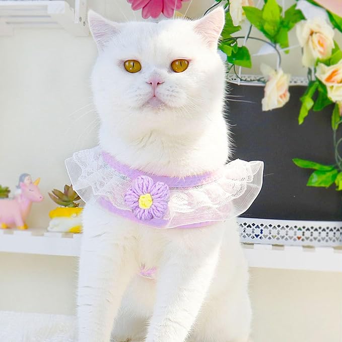 Cat Harness Collar and Leash Set, Sweet Lace Floral Kitten Collar, Escape Proof Puppy Chest Harness, Adjustable Cute Harness Leash Set for Cat Puppy Dog Outdoor Walking (Purple, M)