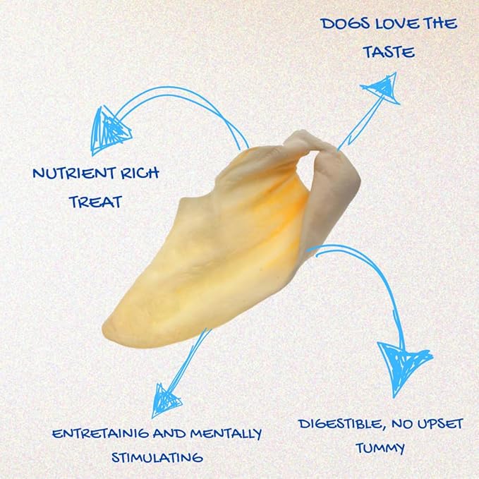 Brazilian Pet 100% Natural Real Cow Ears (50 Pack) Prime Dog Chews, Over 5 inches Free Range Grass Fed Cattle, No additives, Chemicals or Hormones
