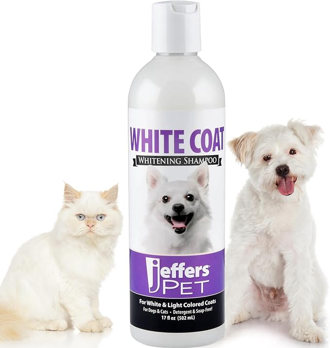 Jeffers Pet White Coat Whitening Shampoo for Dogs & Cats 17 oz – Concentrated Coconut Based Soap Free Grooming Shampoo, Berry Scent Conditioning Coat Care Formula, White & Light Coat Essentials