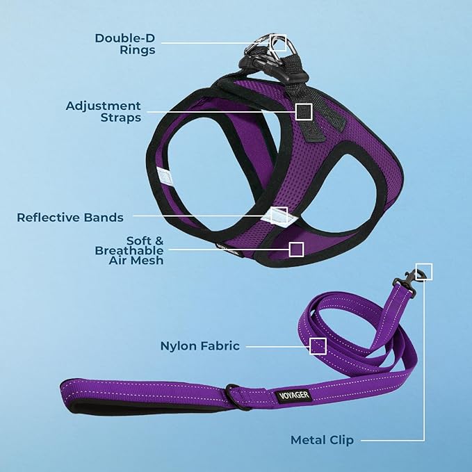 Voyager Step-in Air All Weather Mesh Harness and Reflective Dog 5 ft Leash Combo with Neoprene Handle, for Small, Medium and Large Breed Puppies by Best Pet Supplies - Purple, XX-Small