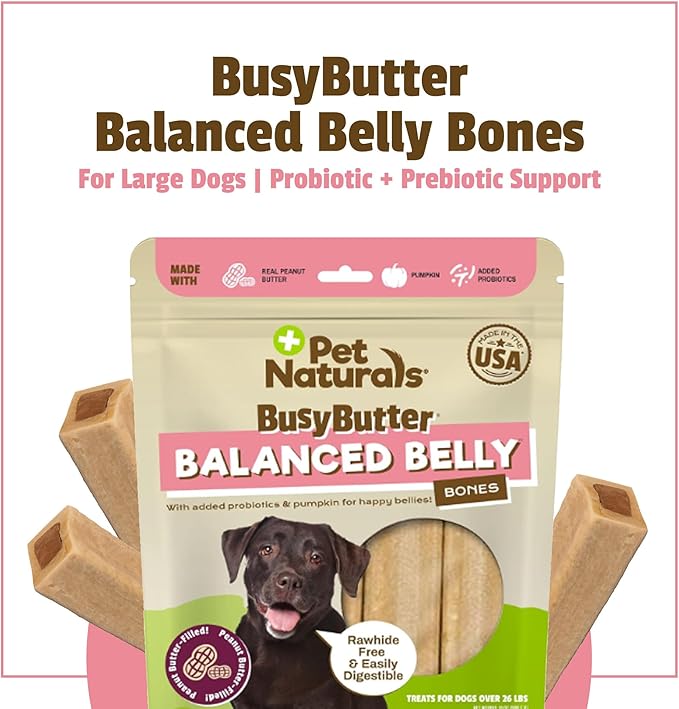 Pet Naturals BusyButter Balanced Belly Bones Medium/Large Dogs – 4 Count, Rawhide-Free Long Lasting Chews with Probiotics, Prebiotics & Pumpkin for Dog Digestive & Gut Health Support, Peanut Butter