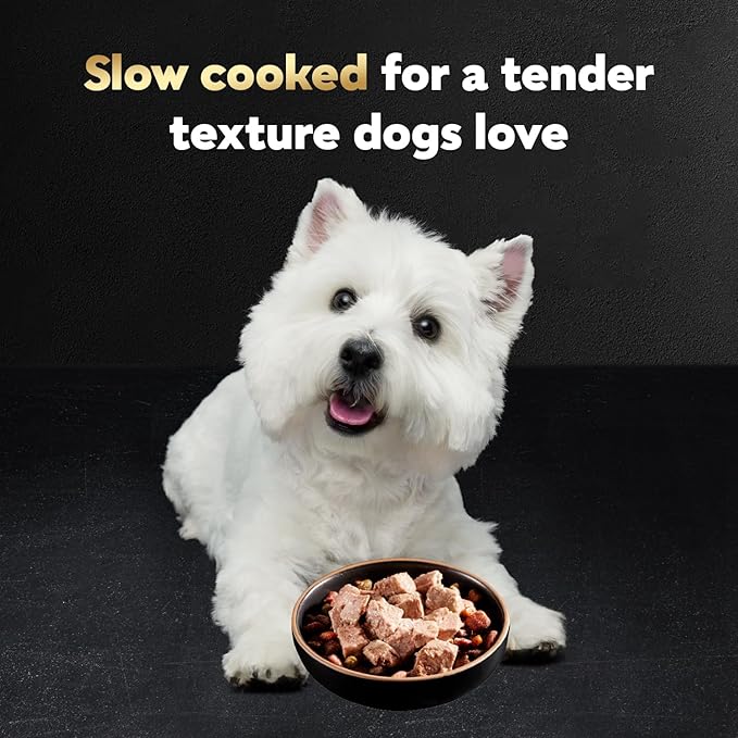 Cesar Filets in Gravy Adult Wet Dog Food Variety Pack, Poultry Lovers with Rotisserie Chicken Flavor and Turkey Recipe, 3.5 oz. Easy Peel Trays, Variety Pack, 12 Count (Pack of 2)