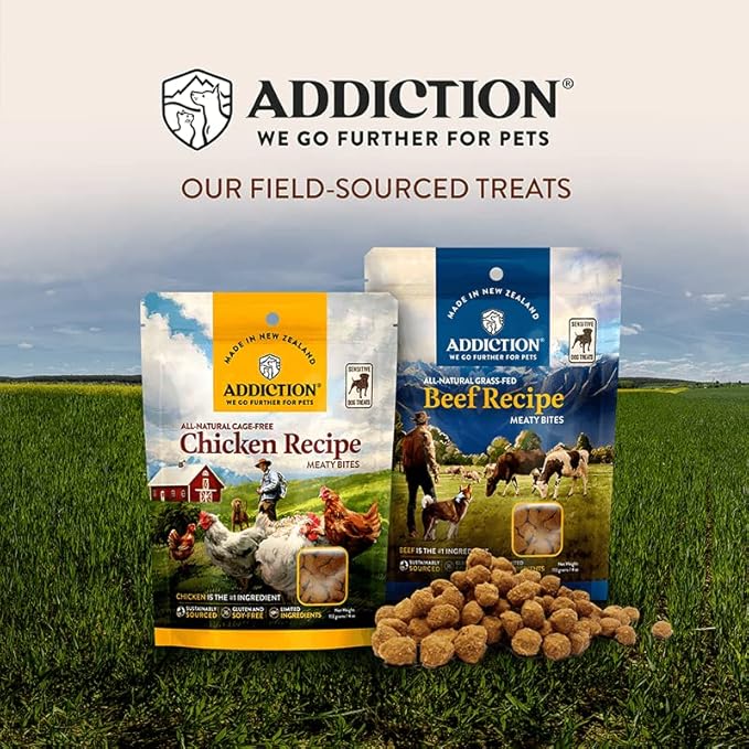 Addiction Meaty Bites - Hypoallergenic Dog Treats - Made in New Zealand - High Meat Content - Gluten and Grain-Free - Soft and Allergy Friendly (Chicken, 4 Ounces - 3 Packs)