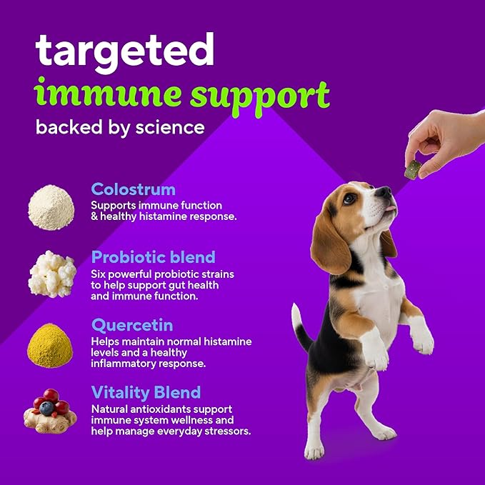 VitaFusion Probiotics for Dogs, Gut & Digestive Health Support with Colostrum & Quercetin, Immune & Seasonal Allergy Support, Superfood Vitality Blend, Beef Flavor120 Soft Chews.