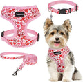 SCENEREAL Valentines Dog Harness Collar and Leash Set for Small Dogs, Soft Mesh Harnesses，Pet Vest for Outdoor Walking Training and Running, XS