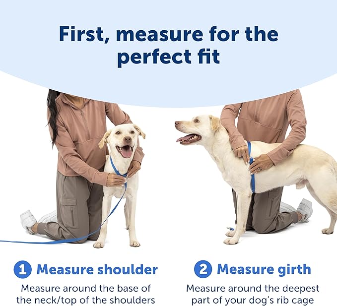 PetSafe Easy Walk Comfort No-Pull Dog Harness Full-Body Padding - Better Walks on the First Use - 5 Points of Adjustment Large, Green