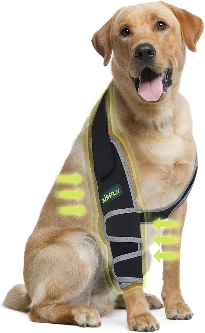 Dog Front Leg Brace for Front Leg, Provides Elbow & Shoulder Support, Helps with Hygroma, Calluses & Pressure Sores, Reflective Anti-Licking Design, Right Leg, Size XXL