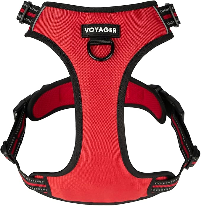 Voyager Dog Harness Dual Leash Attachment No-Pull Control Adjustable Soft but Strong Pet Harness for Medium and Large Dogs with 3M Reflective Technology, Red Lattice Nylon, XS (Chest: 13-16")