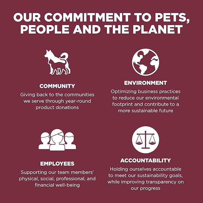 Go! Solutions Sensitivities Limited Ingredient Lamb Grain-Free Dry Dog Food, Chicken-Free Kibble Made by Experts for Sensitive Stomachs & Food Allergies, for Puppies, Adults, & Seniors, 22 lb Bag