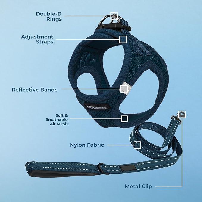 Best Pet Supplies Voyager Step-in Air All Weather Mesh Harness and Reflective Dog 5ft Leash Combo with Neoprene Handle, for Small, Medium and Large Breed Puppies - Set (Blue), Medium